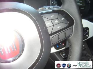 FIAT Panda Cross usata, con Autoradio digitale