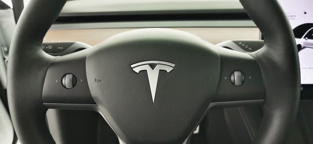 TESLA Model 3 usata 66