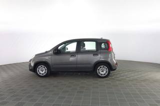 FIAT Panda usata 5