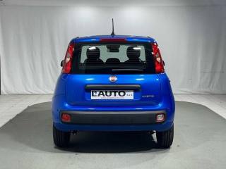 FIAT Panda usata, con Antifurto