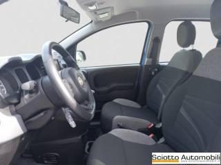 FIAT Panda usata, con ESP