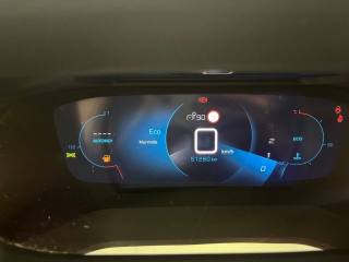 PEUGEOT 2008 usata, con Portapacchi