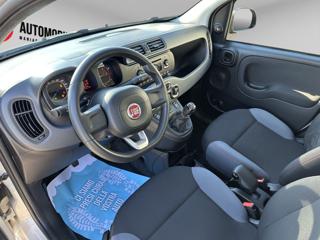 FIAT Panda usata, con Antifurto