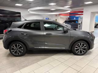 FORD Puma usata, con Fendinebbia