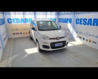 FIAT New Panda 1.2 69cv Easy s&s 5 posti