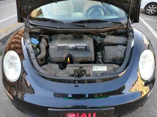 VOLKSWAGEN New Beetle usata, con Bracciolo
