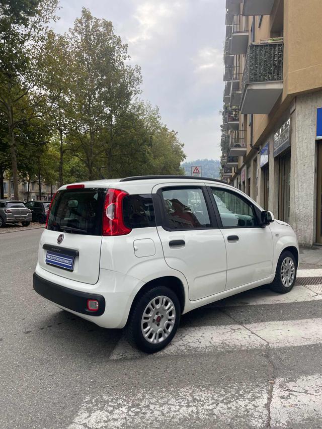 FIAT Panda usata, con Airbag Passeggero