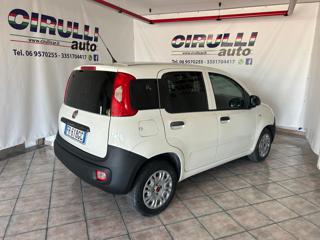 FIAT Panda usata, con Airbag laterali