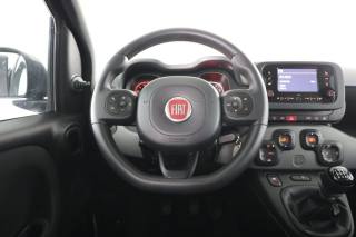 FIAT Panda usata 5