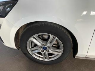FORD Focus usata, con Fendinebbia