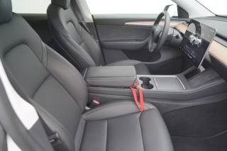 TESLA Model Y usata, con Cronologia tagliandi