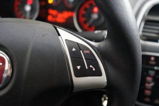 FIAT Punto usata 30