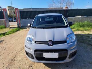 FIAT Panda usata, con Antifurto