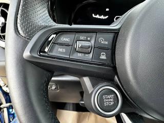 ALFA ROMEO Tonale usata, con Climatizzatore