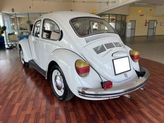 VOLKSWAGEN Maggiolone usata 3