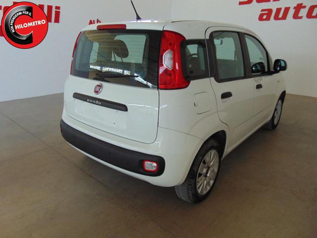 FIAT Panda usata, con Fendinebbia