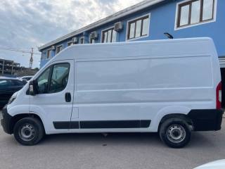 FIAT Ducato usata 2