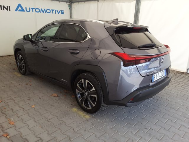 LEXUS UX 250h usata, con Fendinebbia