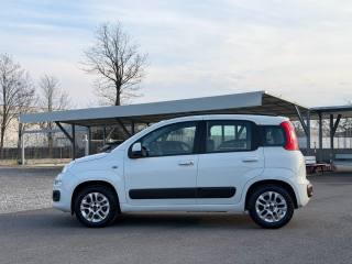 FIAT Panda usata, con Servosterzo