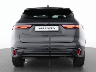 JAGUAR F-Pace usata, con Cronologia tagliandi