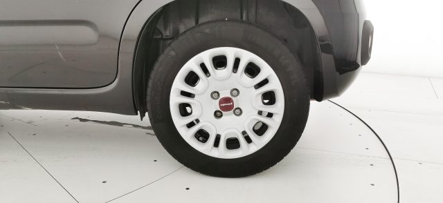 FIAT Panda usata 49