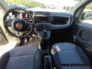 FIAT Panda usata 8