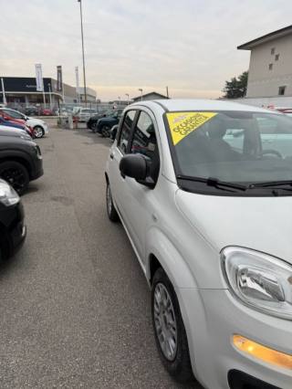 FIAT Panda usata, con Alzacristalli elettrici