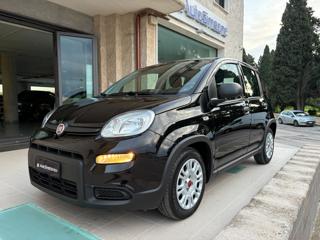 FIAT Panda 1.0 FireFly S&S Hybrid 5 POSTI