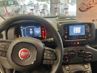 FIAT Panda usata, con Fendinebbia