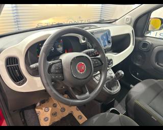 FIAT Pandina Cross usata, con Controllo automatico clima