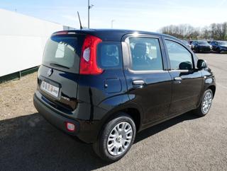 FIAT Panda usata, con Airbag Passeggero