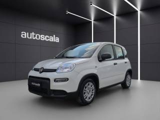 FIAT Panda 1.0 FireFly S&S Hybrid Pandina