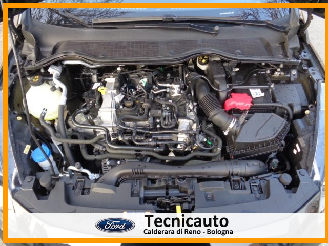 FORD Fiesta usata, con Specchietti laterali elettrici