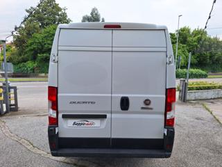 FIAT Ducato usata 12