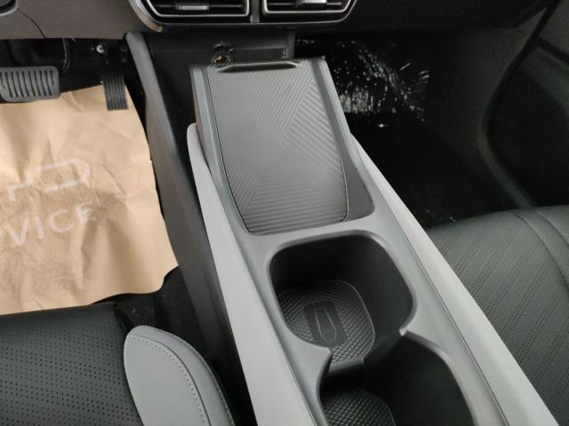 BYD Dolphin Surf usata, con Controllo trazione
