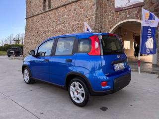 FIAT Panda usata 57