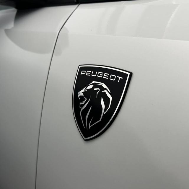 PEUGEOT 3008 usata, con Sensori di parcheggio posteriori