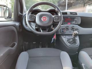 FIAT Panda usata 23