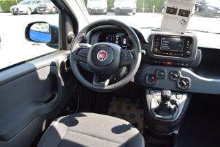 FIAT Panda usata, con Controllo trazione