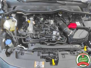 FORD Fiesta usata, con Sensori di parcheggio posteriori