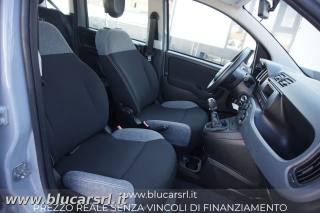 FIAT Panda usata 11