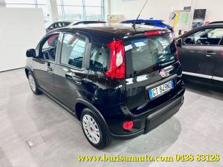 FIAT Panda usata, con Alzacristalli elettrici
