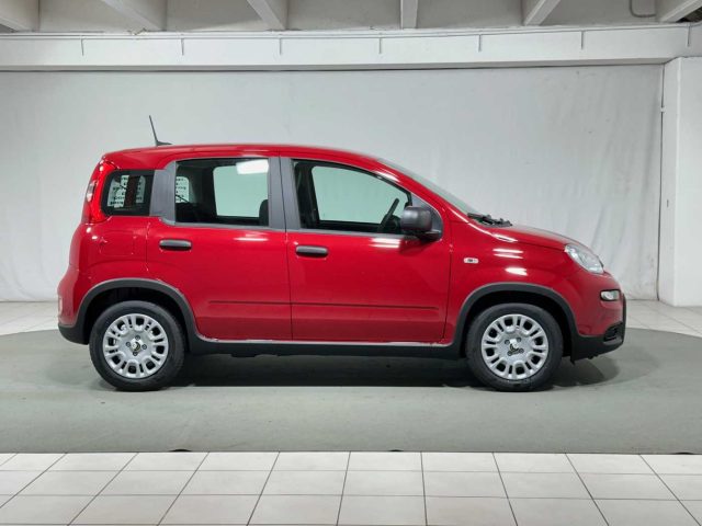 FIAT Panda usata, con Climatizzatore