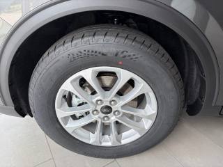 FORD Kuga usata, con Cruise Control