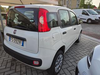 FIAT Panda usata, con Controllo trazione