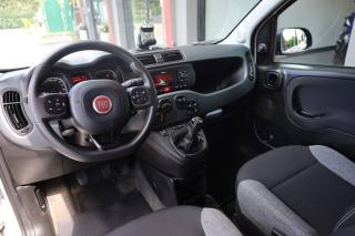 FIAT Panda usata, con Alzacristalli elettrici