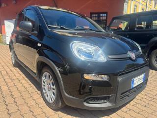 FIAT Panda usata, con Airbag Passeggero