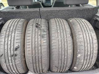 VOLKSWAGEN Polo usata 24