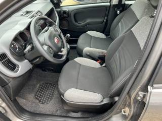 FIAT Panda usata 10