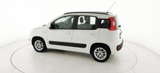 FIAT Panda usata 46